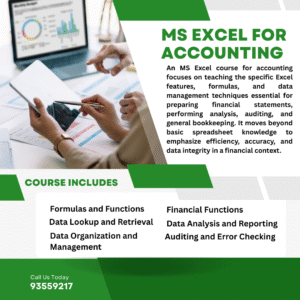 ms excel 4 accounting